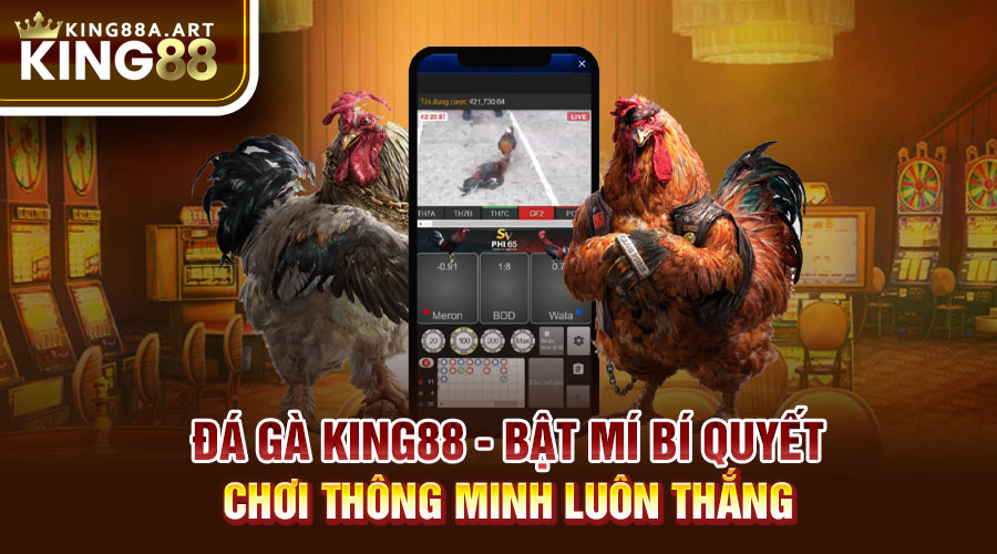 Đá Gà King88 Bất Mí Bí Quyết Chơi Luôn Thắng