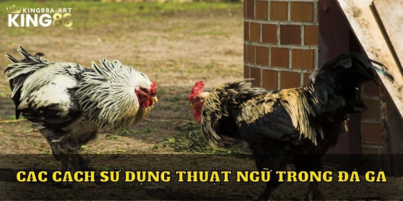 Các cách sử dụng thuật ngữ trong đá gà